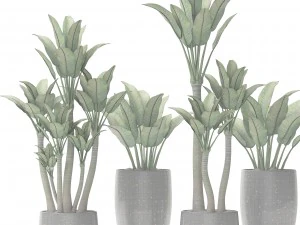 plants collection pot 3D Model