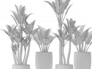 plants collection pot 3D Model