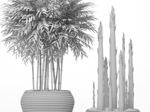 bamboo trees Model 3D