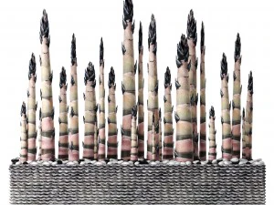 bamboo trees 3D Model