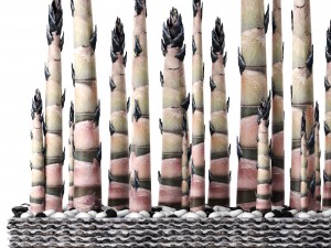 bamboo trees 3D 模型