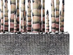 bamboo trees 3D Model