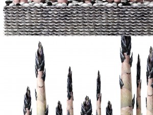bamboo trees 3D 模型