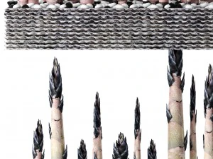 bamboo trees 3D Model