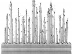 bamboo trees 3D 模型