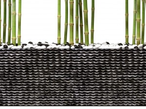 bamboo trees 3D Model
