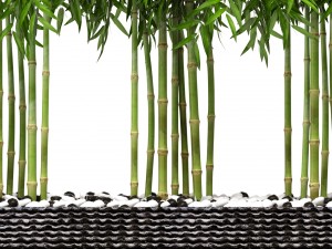 bamboo trees 3D Model