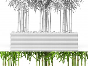 bamboo trees 3D Model
