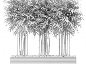 bamboo trees 3D Model