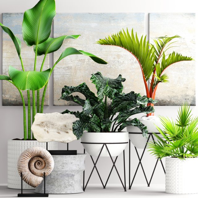 plants collection pot 3D Model .c4d .max .obj .3ds .fbx .stl .blend 