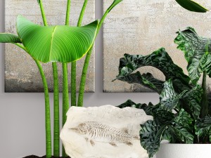 plants collection pot 3D Model