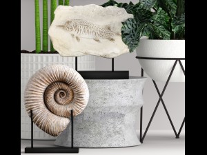 plants collection pot 3D Model