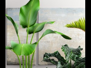 plants collection pot 3D Model