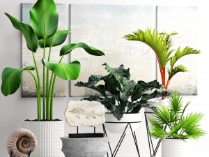 plants collection pot 3D Model