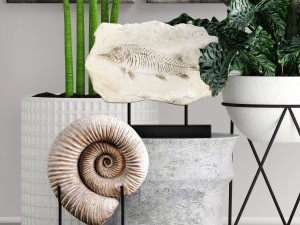 plants collection pot 3D Model