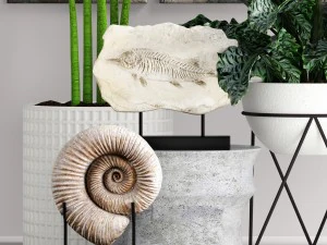 plants collection pot 3D Model