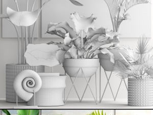 plants collection pot 3D Model