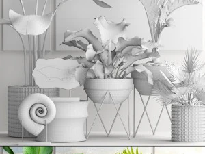 plants collection pot 3D Model