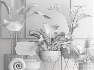 plants collection pot 3D Model
