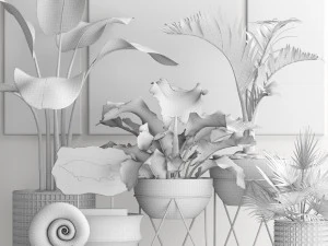 plants collection pot 3D Model