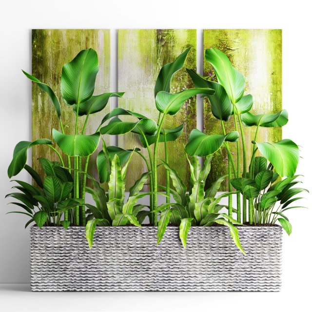 plants collection pot Model 3D .c4d .max .obj .3ds .fbx .stl .blend 
