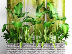 vaso de coleta de plantas Modelo 3D