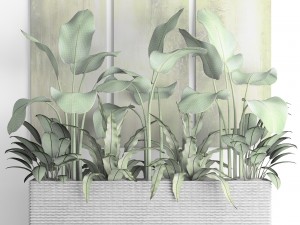 plants collection pot Model 3D