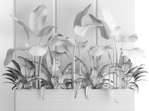 plants collection pot Model 3D