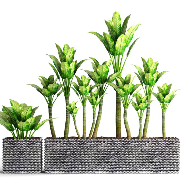 plants collection pot 3D Model .c4d .max .obj .3ds .fbx .stl .blend 