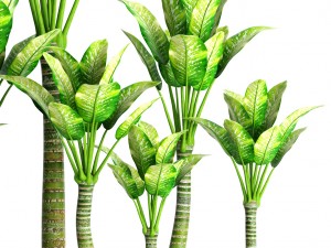 plants collection pot 3D Model