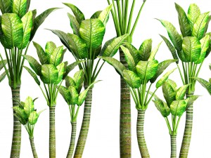 plants collection pot 3D Model