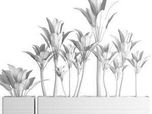 plants collection pot 3D Model
