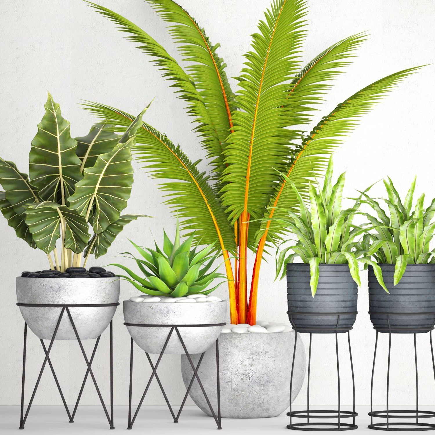 vaso de coleta de plantas Modelo 3D .c4d .max .obj .3ds .fbx .stl .blend