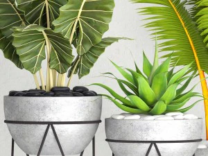 vaso de coleta de plantas Modelo 3D