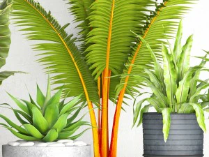 vaso de coleta de plantas Modelo 3D