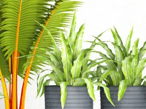 vaso de coleta de plantas Modelo 3D