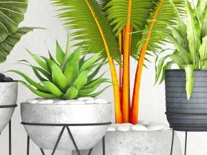 vaso de coleta de plantas Modelo 3D