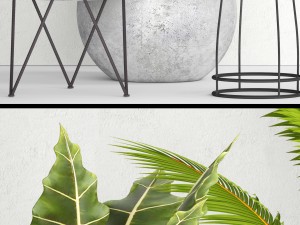 plants collection pot 3D Model
