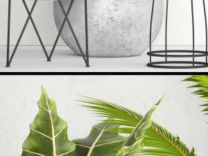 vaso de coleta de plantas Modelo 3D