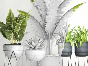 vaso de coleta de plantas Modelo 3D