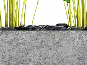 collection plants banana Model 3D