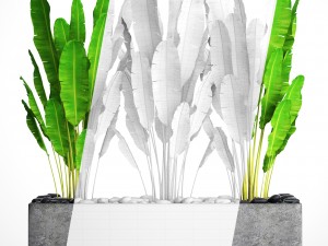 collection plants banana Model 3D