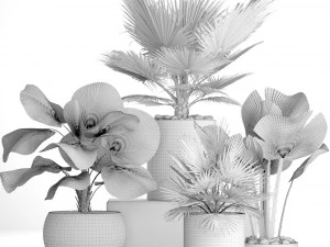 collection palms pots 3D Model