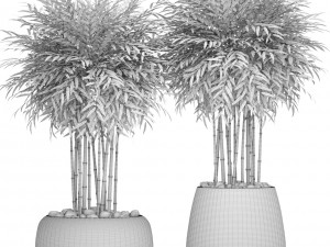 bamboo trees 3D Model