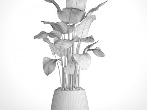 plants banana 3D Model