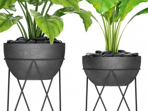 plants collection pot Model 3D