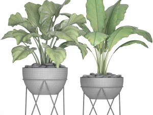 plants collection pot Model 3D