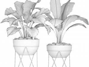 plants collection pot Model 3D