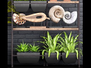 decorative set 3D Модель