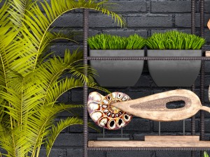 decorative set 3D Модель